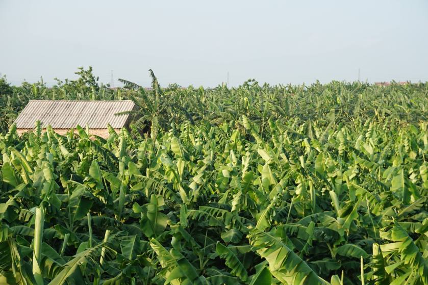 32944997_1828529167212685_533915441924407296_n