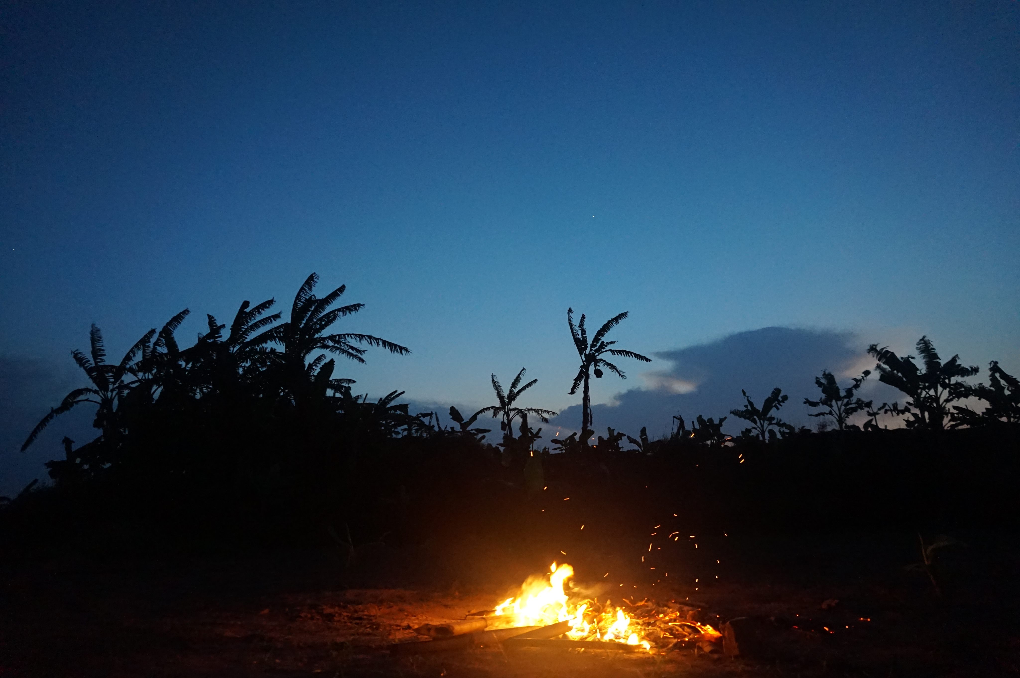 33037350_1828529107212691_373693374869274624_n